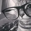 asena_berl1n