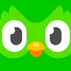 duolingo1177