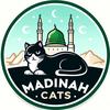 madinah.cats