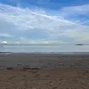harley_n33rmu1