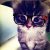 rima.chihri