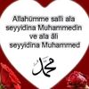 user2181052816527
