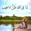 user7186250693617