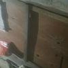 impopeye2