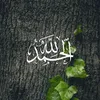 salmasalma08_