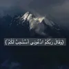 idrissi.habiba