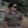 1ss199