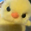 rodriguesz_21