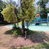 cedbns
