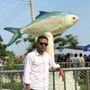 joynal.ahmed778