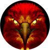 yelo.phoenix