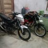 userblackcobra5566787557