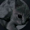 ylek7_11