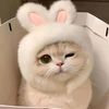 april.nyein494