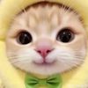 kan_ya67