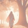 ameeraazzahra.7