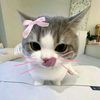 k4llryyu_