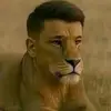 videos_divertidos_2025