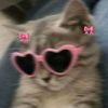 .call.me.kitty.07
