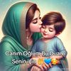 feridesuna782