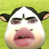 mrsean702