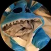 vandonggmail.com