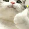 user88372009628178