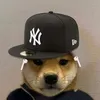 kylezwxv