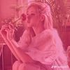 rose_blackpink_sakura