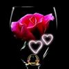 ch.shakeel77
