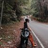 yogi.saputra8231