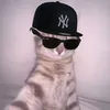 raymond_officall