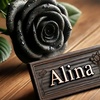 alinahunyarrrrr28