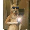 isaiassilva76117
