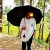 anishvai455