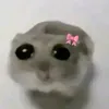 charzuiiii_shini