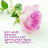 user7592414663612