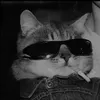 nc_tikkytokky