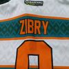 zibrysyah02