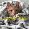 Comfort Home Essentials