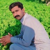 saifbaloch534