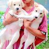 sathu.sathu96