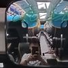 robilubis20