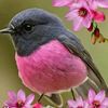 judith.gutierrez207