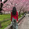 nhibi388