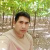 norvic13141516
