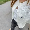 .rroisinn