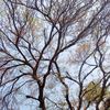 farhanaa_01