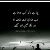 .abdul.hannan37