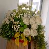 user4714039463628